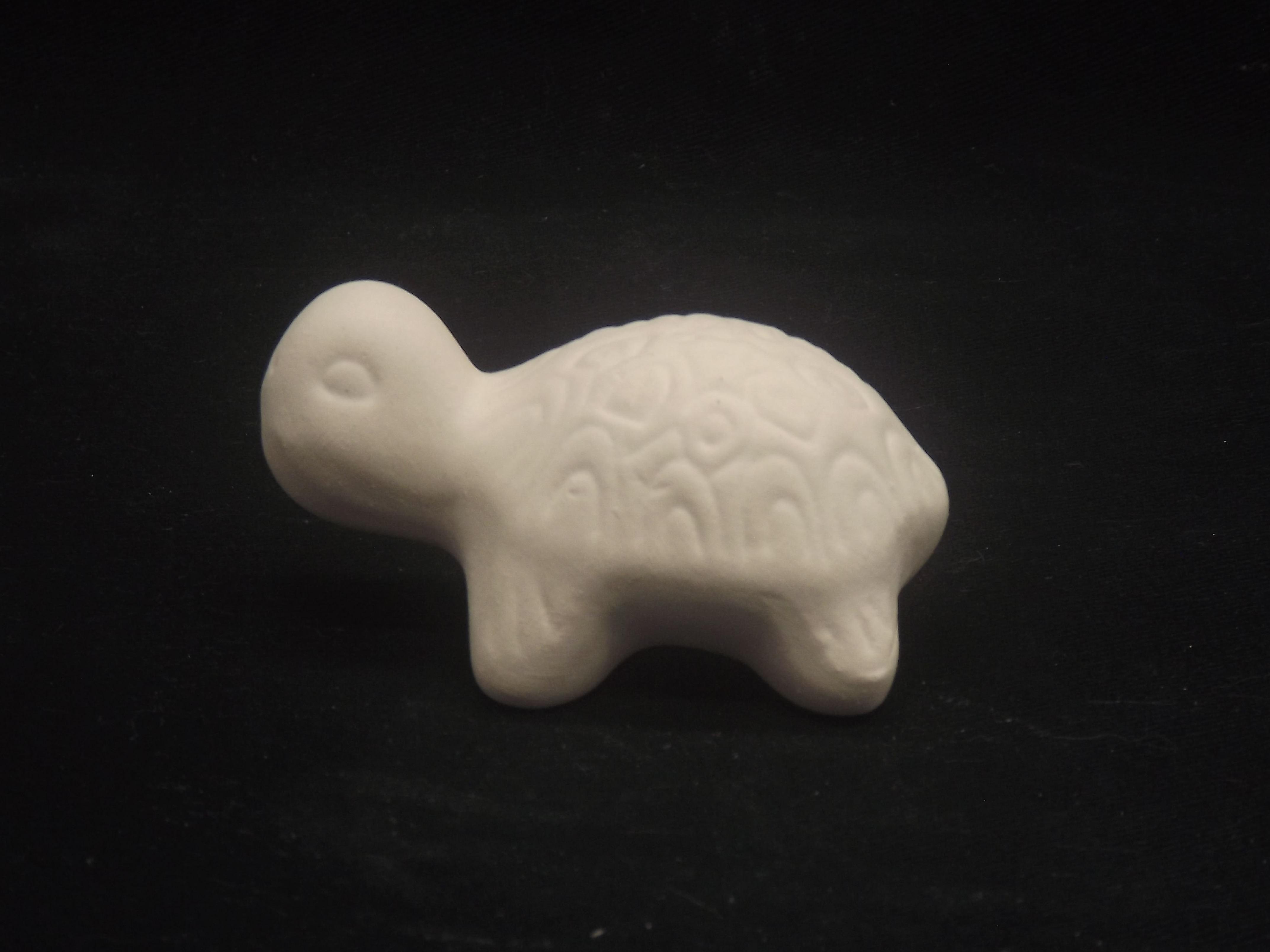 Tartaruga mini